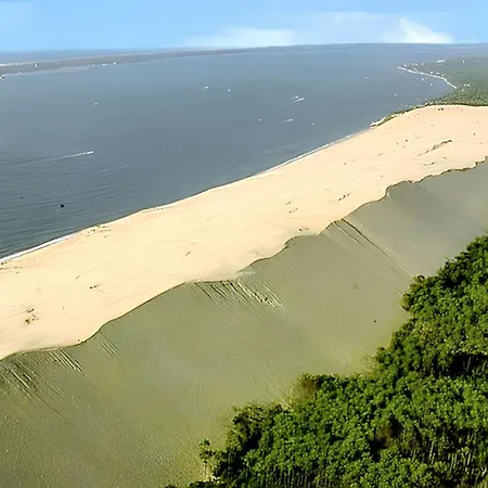 Будинок відпочинку Charmante Maison Avec Jardin A Arcachon, Parfaite Pour 6 Personnes *