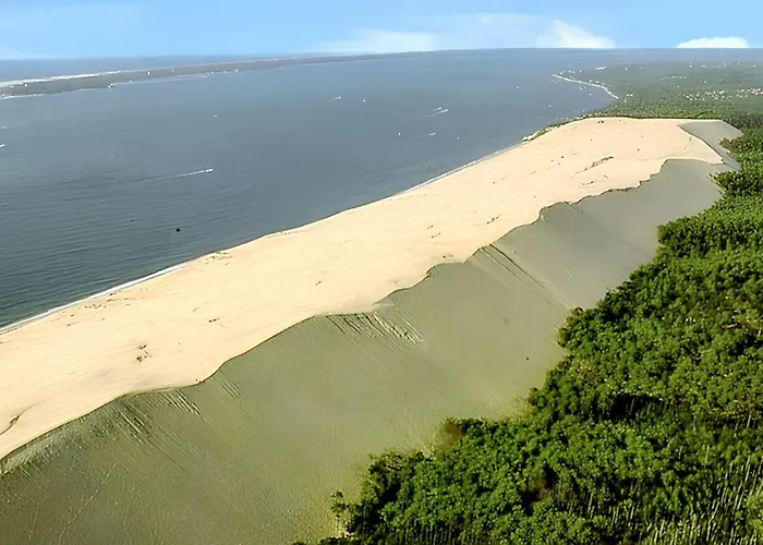 Prázdninový dům Charmante Maison Avec Jardin A Arcachon, Parfaite Pour 6 Personnes *