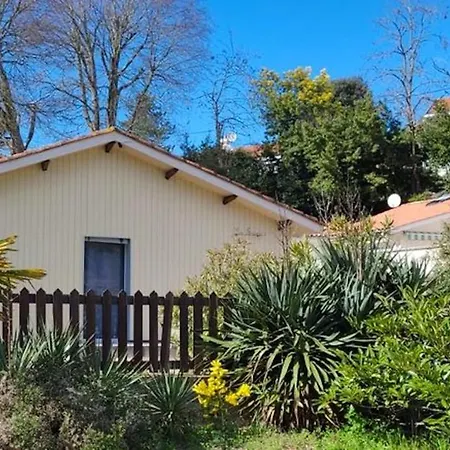 Charmante Maison Avec Jardin A Arcachon, Parfaite Pour 6 Personnes Σπίτι διακοπών *