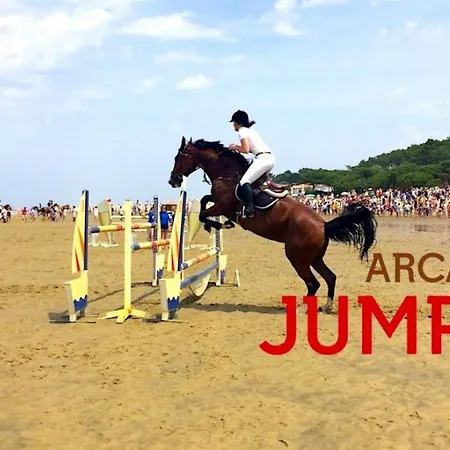 Charmante Maison Avec Jardin A Arcachon, Parfaite Pour 6 Personnes *